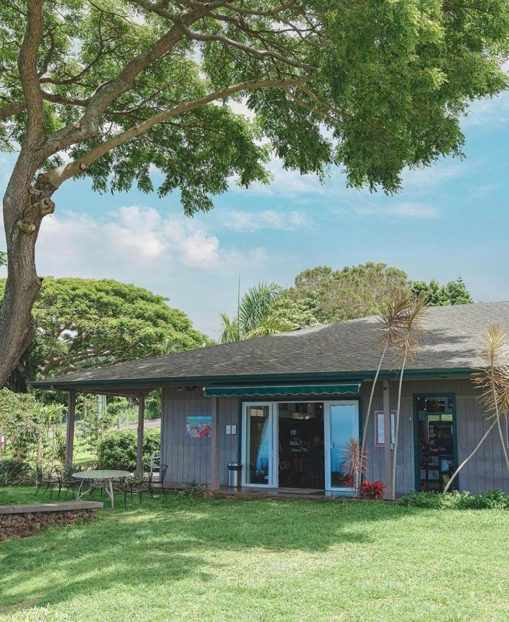 Haukea At Kona Joe Coffee Farm Διαμέρισμα Kealakekua Εξωτερικό φωτογραφία