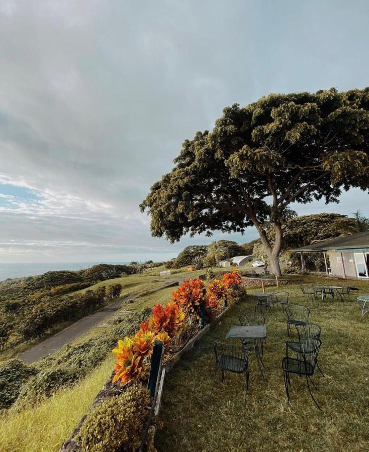 Haukea At Kona Joe Coffee Farm Διαμέρισμα Kealakekua Εξωτερικό φωτογραφία